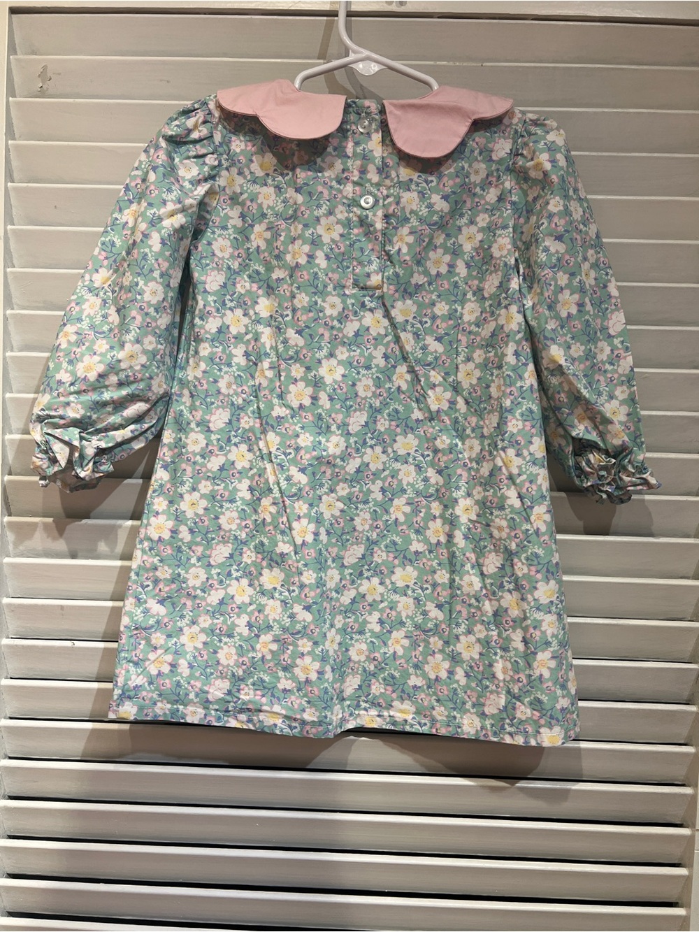 Stitchy Fish 3T Picture Perfect Dress with Peter Pan Collar